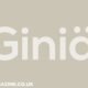 Giniä