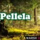 Pellela
