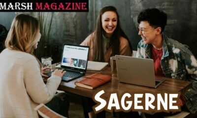 Sagerne