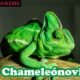 Chameleónovité
