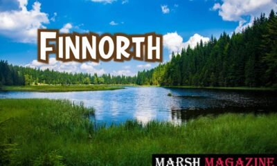 Finnorth