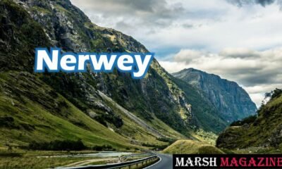 Nerwey