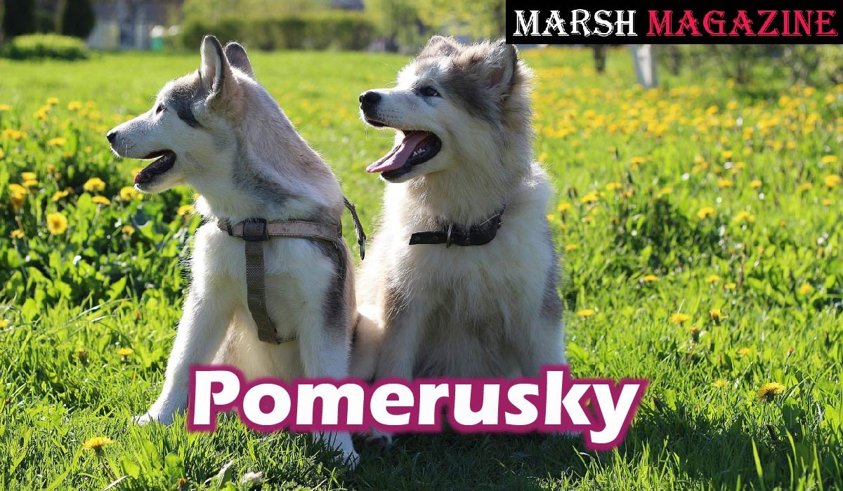Pomerusky