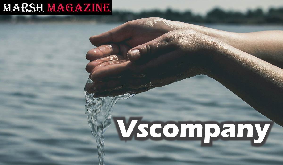 Vscompany