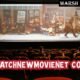 watchnewmovienet com