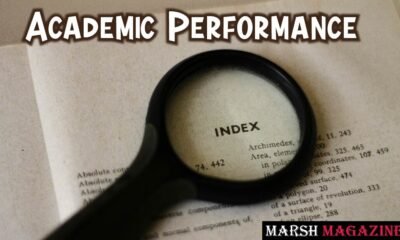 Academic Performance Index