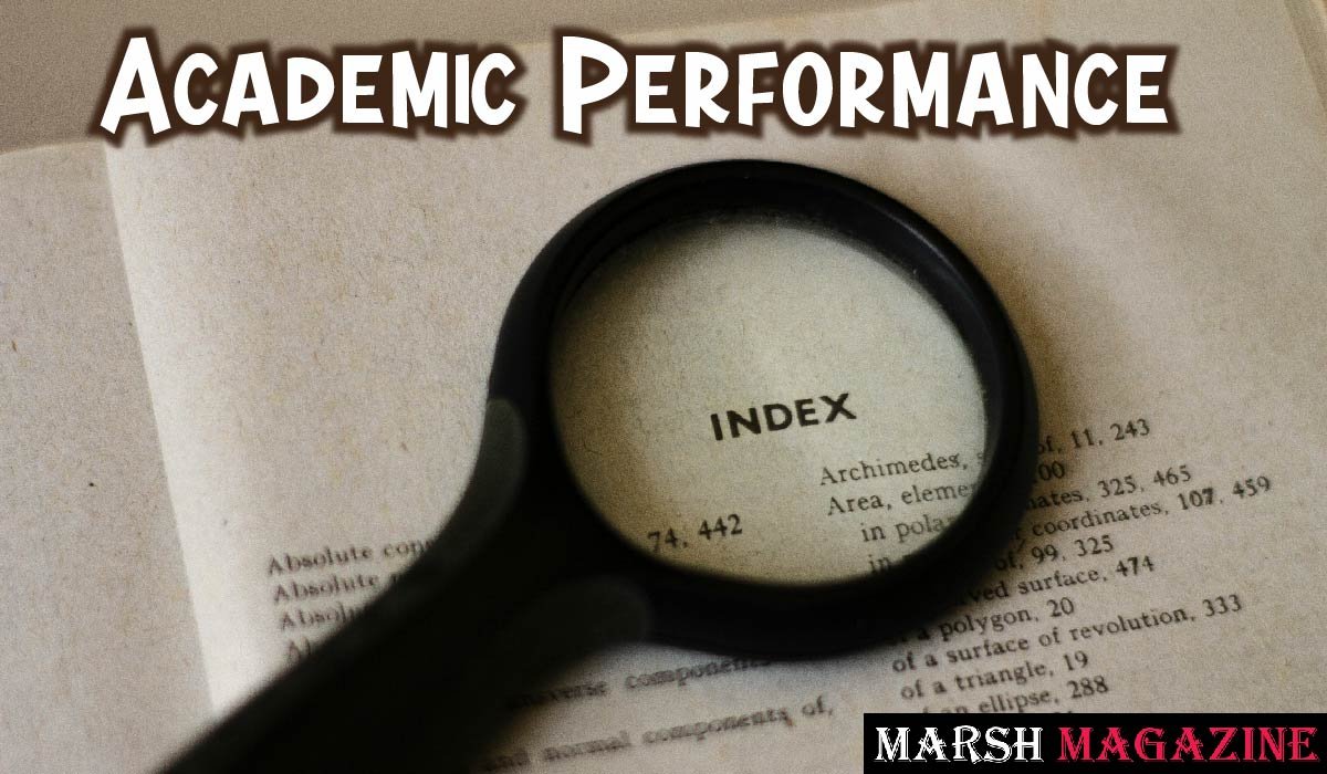 Academic Performance Index