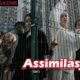 Assimilasjon