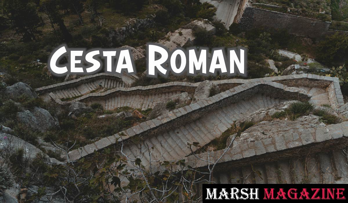 Cesta Roman