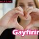Gayfirir