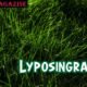 Lyposingrass