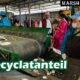 Recyclatanteil