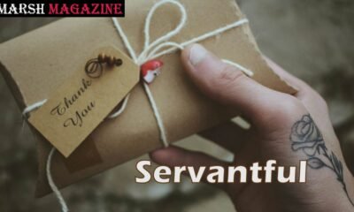 Servantful