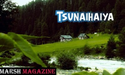 Tsunaihaiya