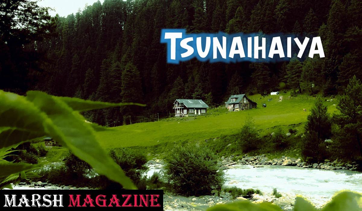 Tsunaihaiya
