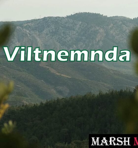 Viltnemnda