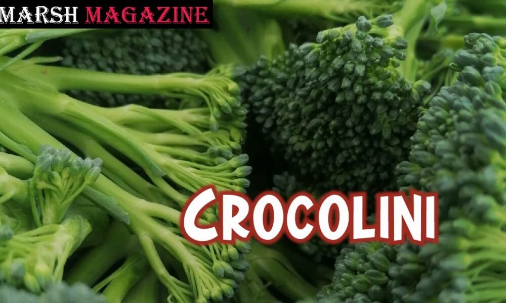 Crocolini