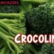 Crocolini