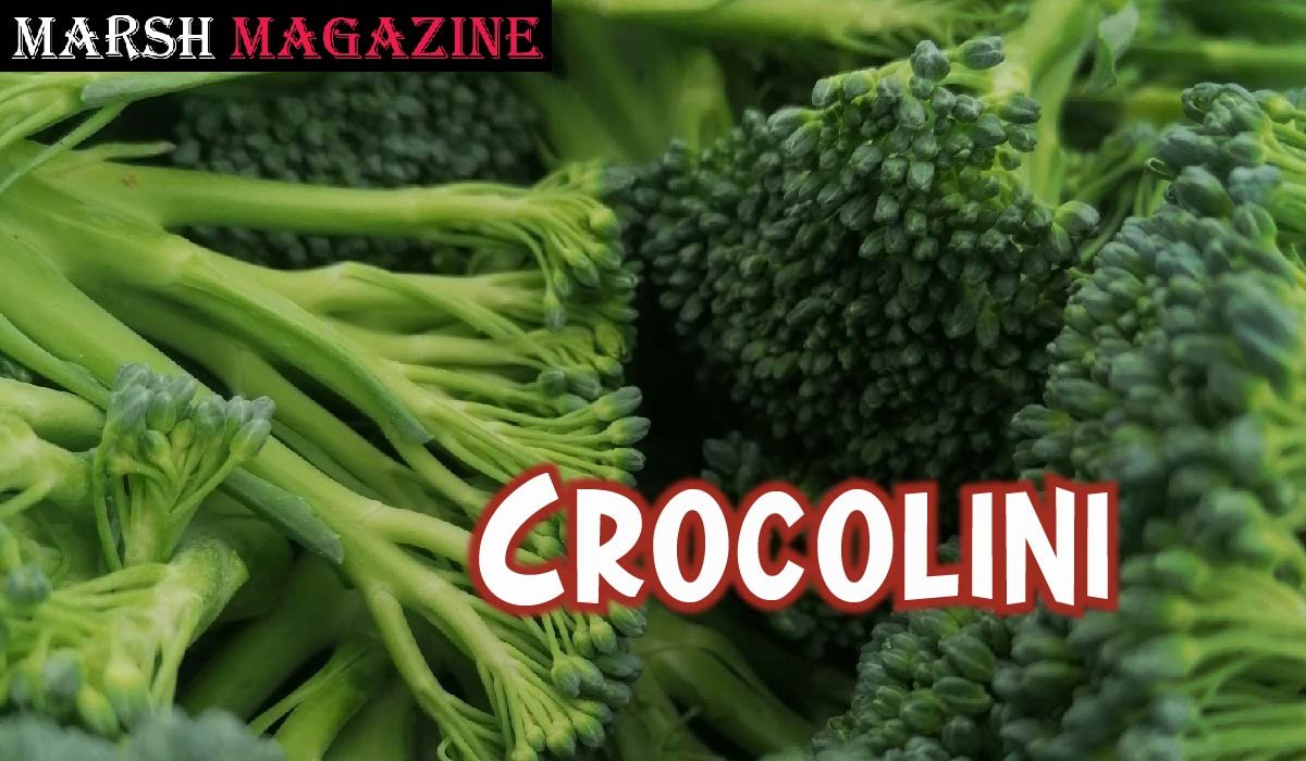 Crocolini